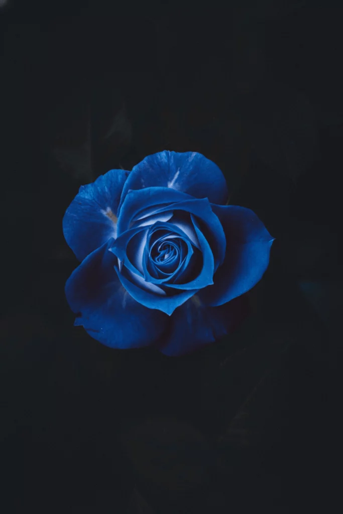 Nano Banana 2 generated images