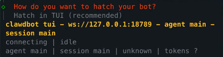 coding and installing screenshot of clawbot