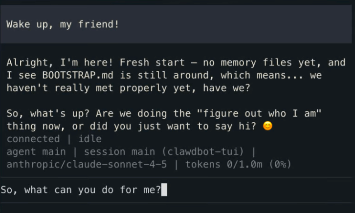 coding and installing screenshot of clawbot