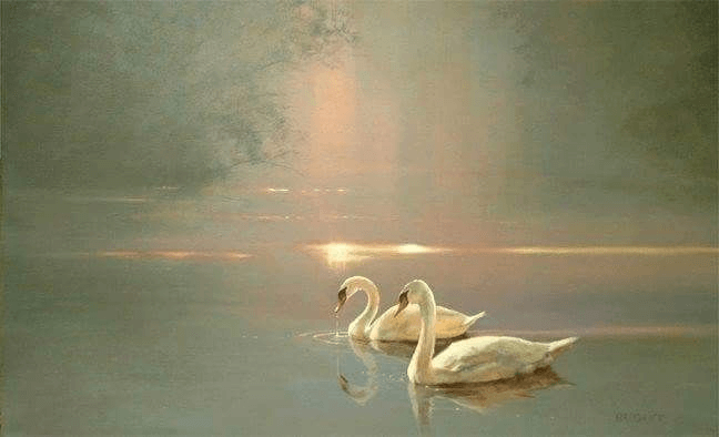 The 2026 Guide to the Best JPG Converter: Convert to JPEG Without Losing Quality