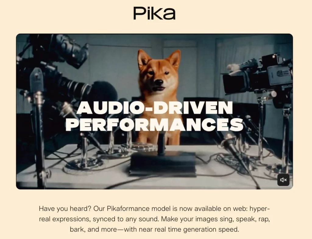 homepage icon screenshot of pika ai