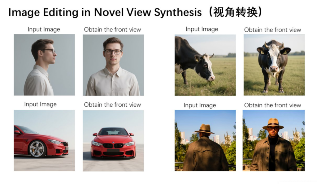 A technical grid from the Qwen interface showing "Input Images" of a man, a cow, a car, and a person from the back, paired with AI-generated front-facing views for each.