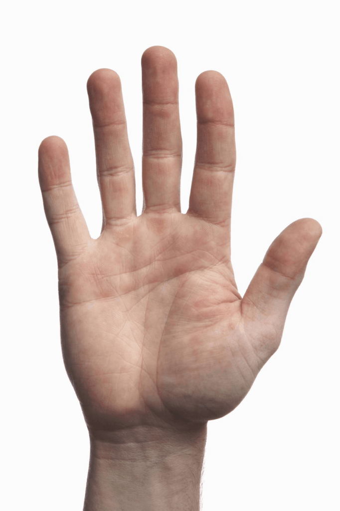 掌纹 – WeShop AI Blog A clear palm photo transformed into a clean, minimal palm reading report.