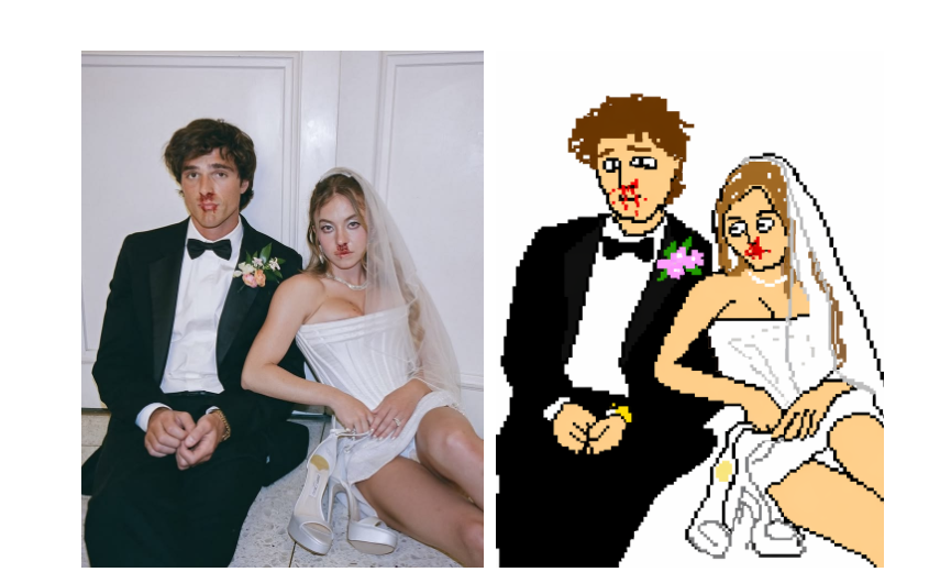 Original  vs.  Pixelated Image